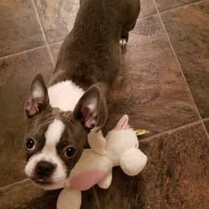 Meet your Posher, Pam